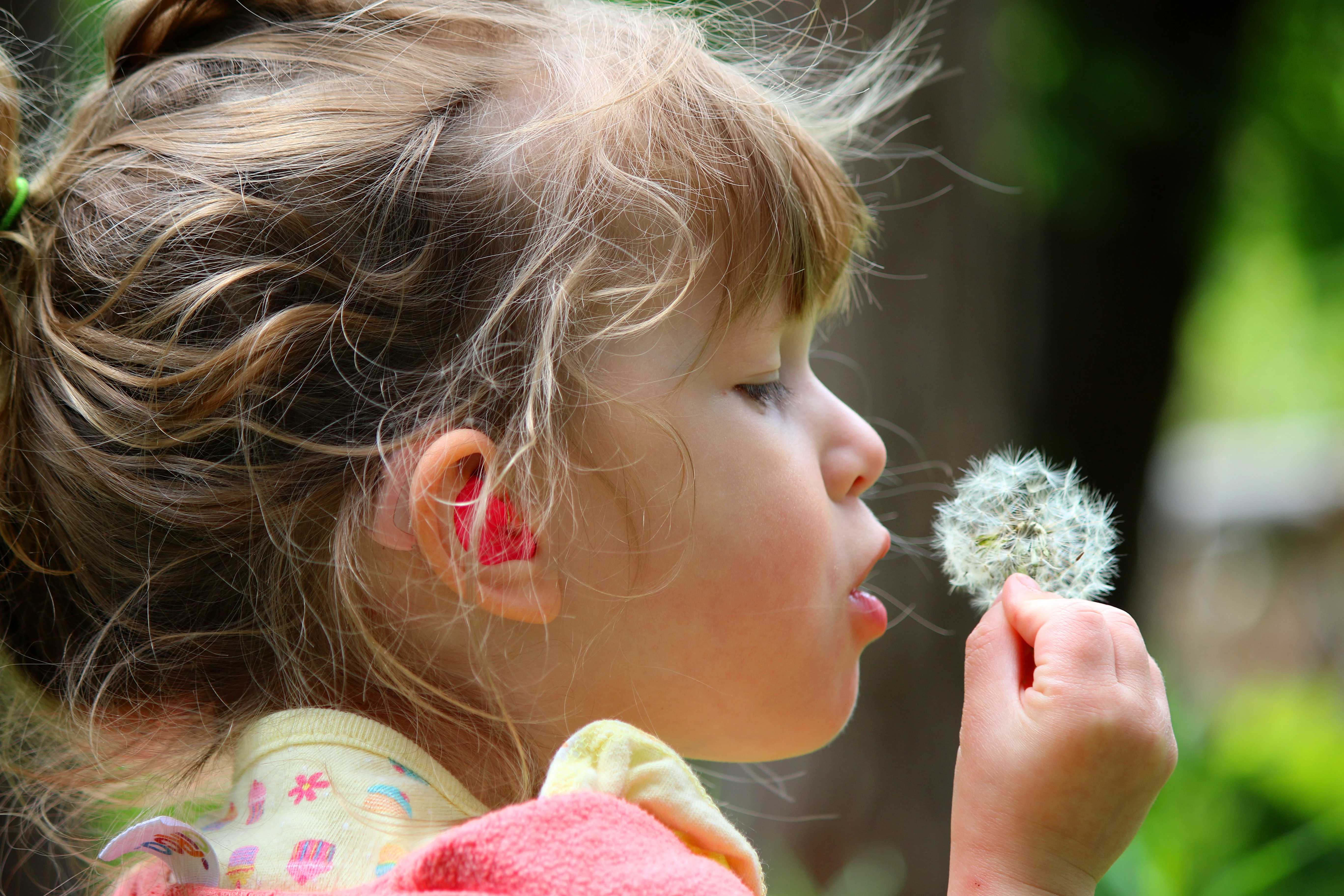 Girl with hearing aid blowing on a dandylion puff