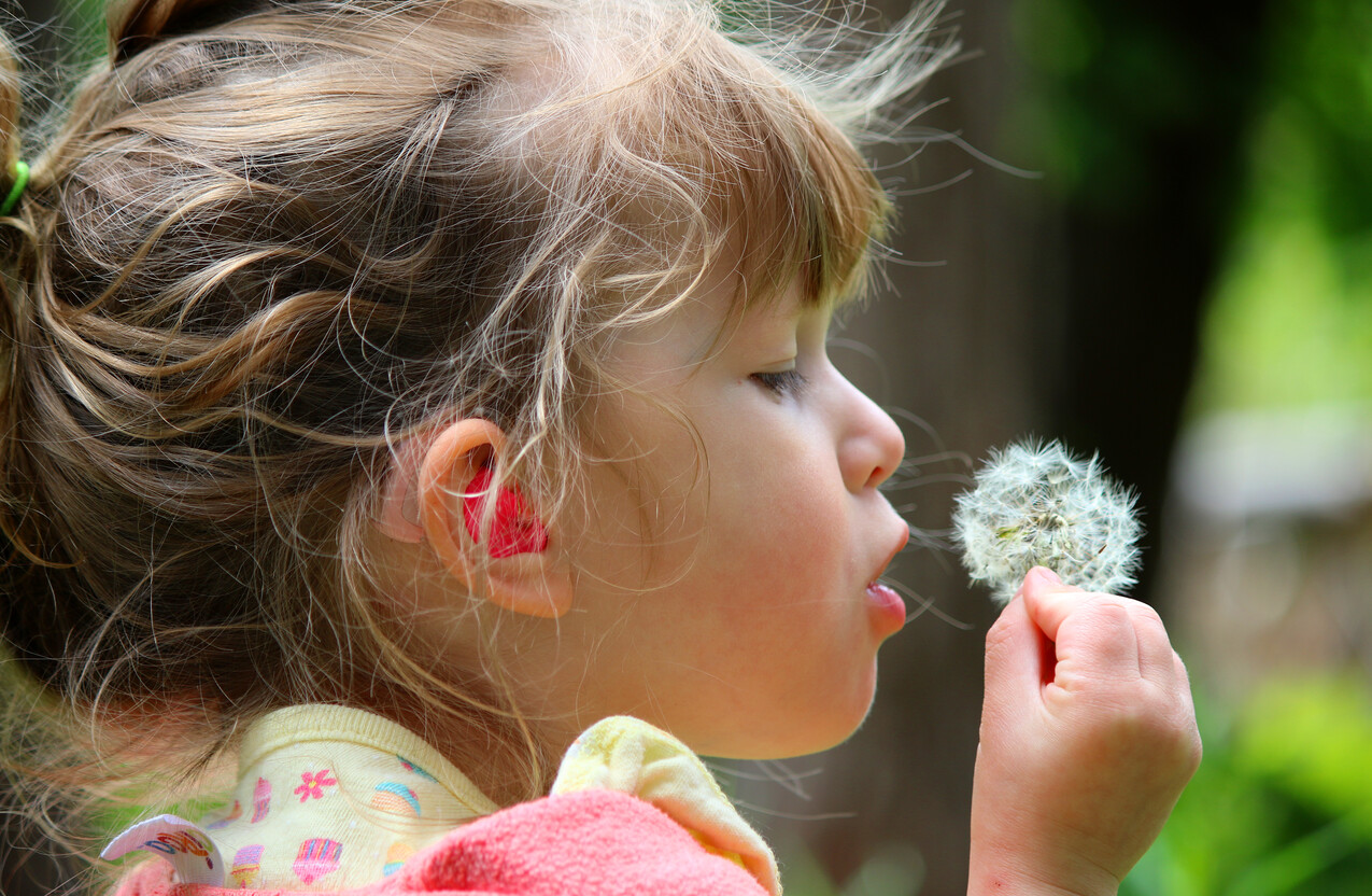 Girl with hearing aid blowing on a dandylion puff