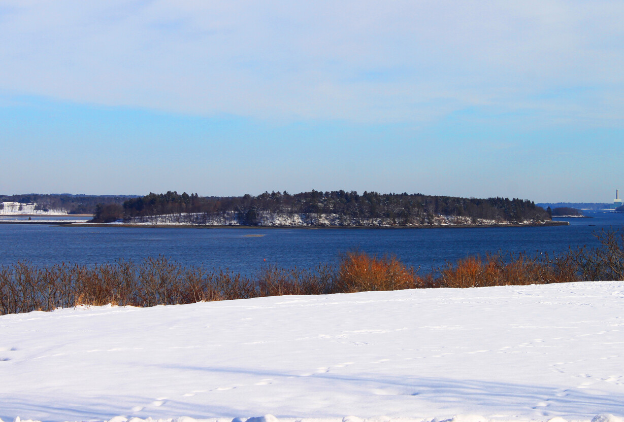 A wide-shot of Mackworth Island in Falmouth, Maine; there is snow on the ground.